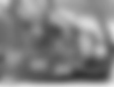 Land Rover LR3 HSE 2006 - Component Locations -  Right Front Wheel Arch Liner