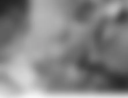 Land Rover LR3 HSE 2006 - Component Locations -  Left D Pillar