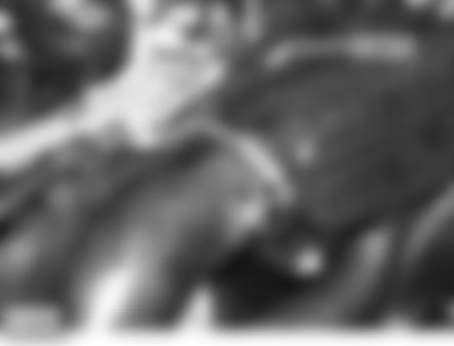 Land Rover LR3 HSE 2006 - Component Locations -  Top Of Engine