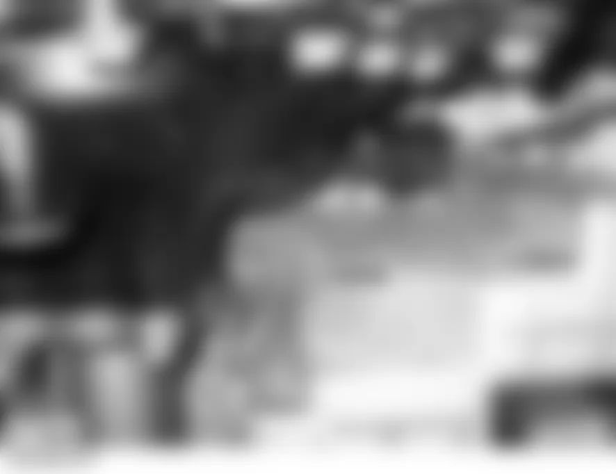 Land Rover LR3 HSE 2006 - Component Locations -  Rear Of Engine