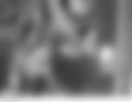 Land Rover LR3 HSE 2006 - Component Locations -  Left A Pillar