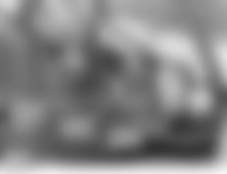 Land Rover LR3 HSE 2006 - Component Locations -  Left Front Wheel Arch Liner