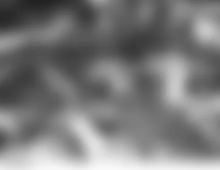 Land Rover LR3 HSE 2006 - Component Locations -  Top Of Engine