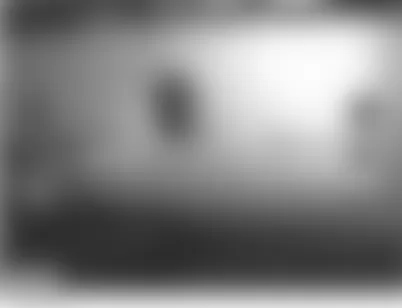 Land Rover Range Rover HSE 2007 - Component Locations -  Behind Left Side Of Front Bumper