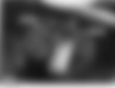 Land Rover Range Rover HSE 2007 - Component Locations -  Top Center Of Windshield