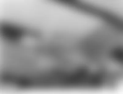 Land Rover Range Rover HSE 2007 - Component Locations -  Right Rear Of Roof