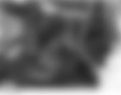 Land Rover Range Rover HSE 2007 - Component Locations -  Behind Right Headlight