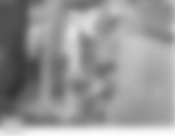 Land Rover LR3 HSE 2008 - Component Locations -  Left D Pillar