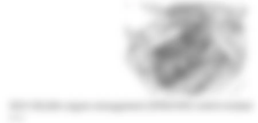 Mercedes-Benz E320 2002 - Component Locations -  Right Rear Of Engine Compartment