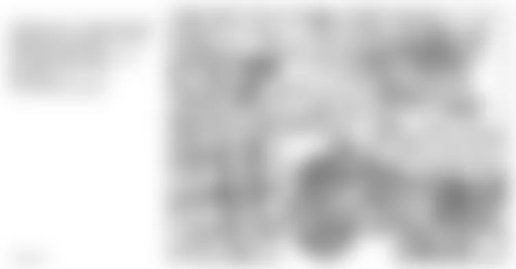 Mercedes-Benz C230 2003 - Component Locations -  Engine Components (2 Of 2) (M112)