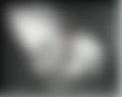 Mercedes-Benz CL55 2003 - Component Locations -  Right Front Of Engine Compartment