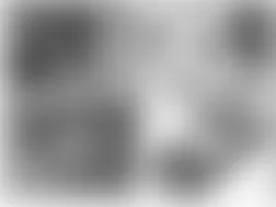 Mercedes-Benz CL600 2003 - Component Locations -  Engine Compartment