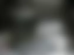 Mercedes-Benz CL600 2003 - Component Locations -  Left Front Of Engine Compartment