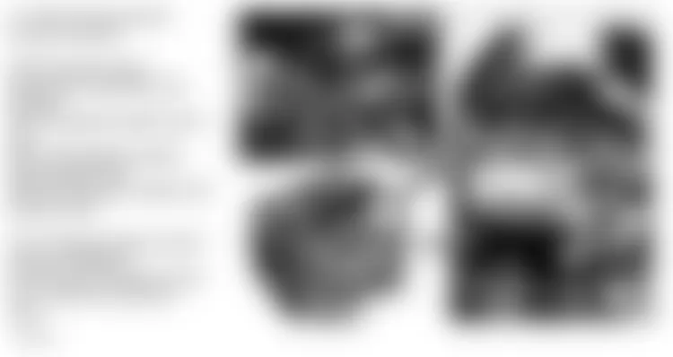 Mercedes-Benz S500 4Matic 2003 - Component Locations -  Engine Components (2 Of 5) (Engine 275)