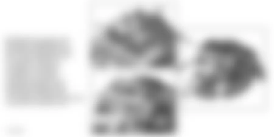 Mercedes-Benz C320 4Matic 2004 - Component Locations -  Engine Components (1 Of 2) (M271)