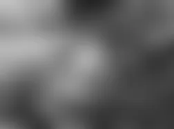 Mercedes-Benz CL600 2004 - Component Locations -  Under Center Rear Of Vehicle