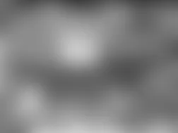 Mercedes-Benz CL600 2004 - Component Locations -  Under Right Rear Seat