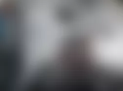 Mercedes-Benz CL600 2004 - Component Locations -  Left Side Of Trunk