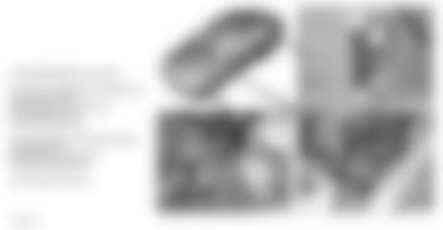 Mercedes-Benz E320 2004 - Component Locations -  Engine Controls (2 Of 3)