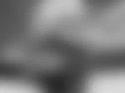 Mercedes-Benz CL500 2005 - Component Locations -  Under Center Of Vehicle