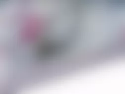 Mercedes-Benz CL500 2005 - Component Locations -  Left Front Door (Right Similar)