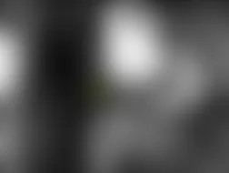 Mercedes-Benz CL500 2005 - Component Locations -  Left Rear Of Engine Compartment