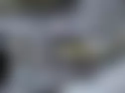 Mercedes-Benz CL500 2005 - Component Locations -  Left Side Of Trunk