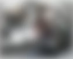 Mercedes-Benz CL500 2005 - Component Locations -  Left Front Of Engine Compartment