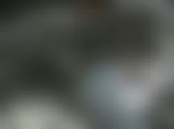 Mercedes-Benz CL500 2005 - Component Locations -  Left Rear Of Engine Compartment (Right Similar)