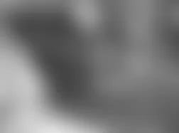 Mercedes-Benz CL500 2005 - Component Locations -  Under Front Of Floor Console