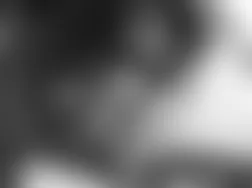 Mercedes-Benz CL500 2005 - Component Locations -  Under Left Rear Seat