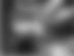 Mercedes-Benz CL500 2005 - Component Locations -  Left Front Of Engine Compartment