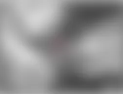 Mercedes-Benz CL500 2005 - Component Locations -  Under Right Rear Of Engine Compartment (V8)