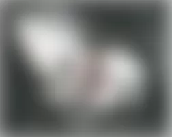 Mercedes-Benz CL500 2005 - Component Locations -  Right Front Of Engine Compartment