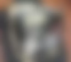 Mercedes-Benz CL500 2005 - Component Locations -  Under Drivers Seat