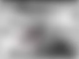 Mercedes-Benz CL500 2005 - Component Locations -  Left Side Of Trunk