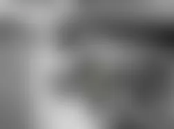 Mercedes-Benz CL500 2005 - Component Locations -  Right Side Of Trunk