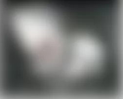 Mercedes-Benz CL500 2005 - Component Locations -  Right Front Of Engine Compartment