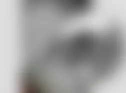 Mercedes-Benz CL500 2005 - Component Locations -  Front Passengers Seat (Drivers Similar)