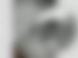 Mercedes-Benz CL500 2005 - Component Locations -  Front Passengers Seat (Drivers Similar)