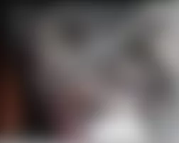 Mercedes-Benz CL500 2005 - Component Locations -  Right Side Of Engine Compartment