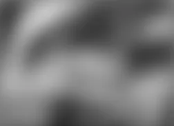 Mercedes-Benz CL500 2005 - Component Locations -  Right Front Wheelwell