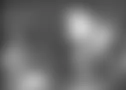 Mercedes-Benz CL500 2005 - Component Locations -  Left Side Of Engine Compartment