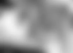 Mercedes-Benz CL500 2005 - Component Locations -  Right Side Of Trunk