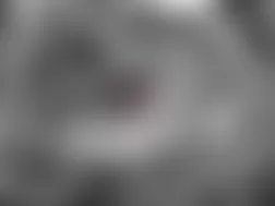 Mercedes-Benz CL55 2005 - Component Locations -  Right Rear Wheelwell (Left Similar)