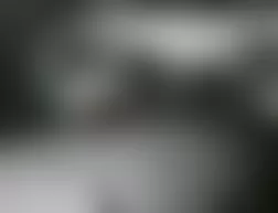 Mercedes-Benz CL55 2005 - Component Locations -  Left Front Wheelwell (Right Similar)