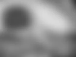 Mercedes-Benz CL55 2005 - Component Locations -  Left Front Of Engine Compartment