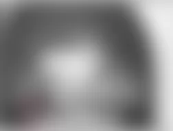 Mercedes-Benz CL55 2005 - Component Locations -  Drivers Seat Back