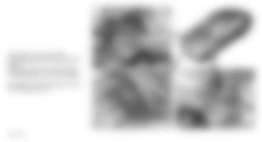 Mercedes-Benz E500 4Matic 2005 - Component Locations -  Engine Controls (3 Of 3)