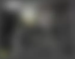 Mercedes-Benz CLS500 2006 - Component Locations - Left Rear Of Engine Compartment